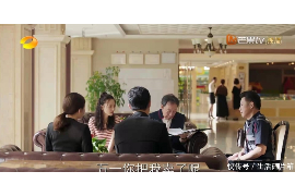 泰和融资清欠服务